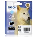 Epson Tinte Light Cyan für R2880 C13T09654010