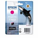 Epson Tinte vivid magenta für SureColor SC-P600 C13T76034010