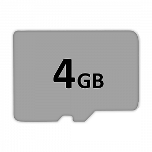 Micro SD 4 GB 