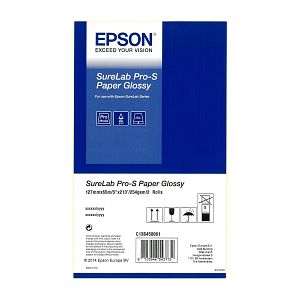 Epson Pro Paper 127mmx65m Glossy 2 Rollen für EPSON SureLab SL-D700  C13S450061