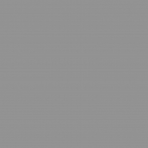 Bresser Hintergrund Grau 2,72m x 11m - SBP17
