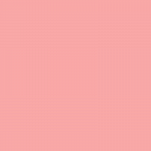 Bresser Hintergrund Rosa 2,72m x 11m - SBP12