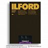 Ilford MG FB Warmtone 24K 13x18cm/100Blatt* CAT 1883383
