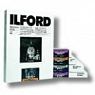 Ilford MG FB Warmtone 24K 20x25cm/100 Blatt* CAT 1884300