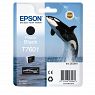 Epson Tinte photo black für SureColor SC-P600 T7601