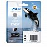 Epson Tinte light black für SureColor SC-P600 T7607