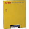 Kodak T-Max 100 20,3cmx25,4cm/10 Blatt (8x10") CAT 809 5440